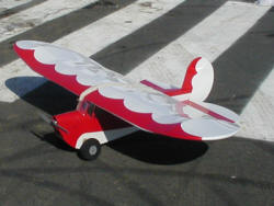 lazy bee rc airplane
